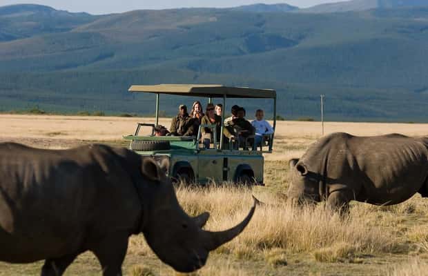 image n.1 of Plettenberg Bay Game Reserve: 2-Hour Game Drive activity in Western Cape, uploaded by supplier
