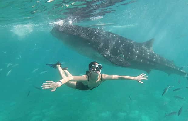 Xolaning uy qurilishi ruscha porno video