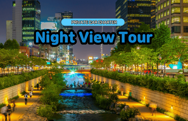 imagem n.1 de Seul: Tour particular com vista noturna atividade em Seul, carregada pelo fornecedor