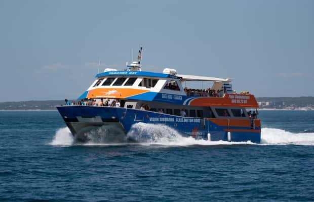 image n.1 of Santa Pola: Tabarca Catamaran Cruise with Underwater Vision activity in Valencian Community, uploaded by supplier