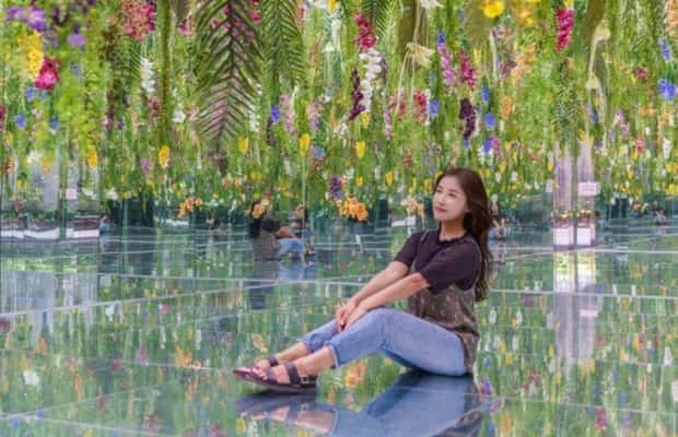 imagen n.º 1 de Desde Seúl: Parque de las Begonias, bicicleta sobre raíles y visita a los jardines. actividad en Gapyeong-gun, subida por el proveedor