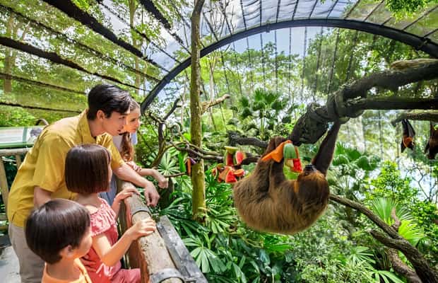 imagen n.º 1 de Zoo de Singapur: Ticket electrónico de entrada de 1 día actividad en Singapur, subida por el proveedor