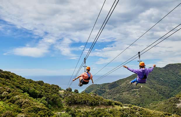 image n.1 of Kaikōura: Zipline and Native Forest Adventure Trip activity in Kaikoura, uploaded by supplier