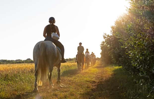 Bild Nr. 1 von Fazana: 1-stündiger Ausritt in die Natur bei Sonnenuntergang mit Guide Aktivität in Fažana, hochgeladen vom Anbieter