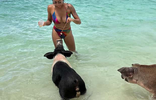 Image N°1 de Bahamas : Croisière pour nager avec des cochons et faire de la plongée avec masque et tuba avec déjeuner et rhum activité à New Providence, publiée par le prestataire
