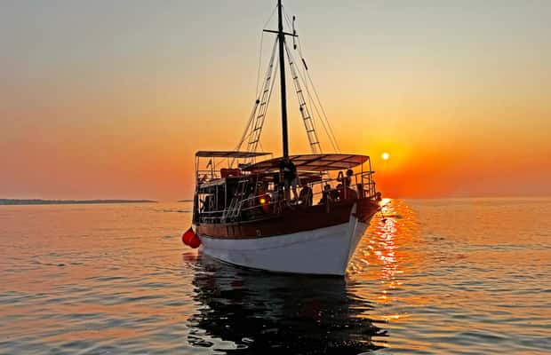 Bild Nr. 1 von Fazana: Delfinjagd auf den Brijuni-Inseln Safari mit Abendessen Aktivität in Pula, Kroatien, hochgeladen vom Anbieter