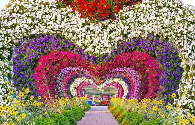 imaginea n.1 a activității Dubai: Intrare la Miracle Garden și Global Village cu transfer în Dubai, încărcată de organizator