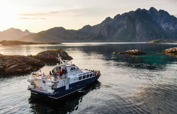 image n.1 of From Svolvær: Lofoten Trollfjord Cruise & Sea Eagle Safari activity in Nordland County, uploaded by supplier