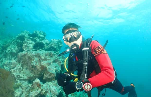 billede nr.1 af aktiviteten Phuket: 3 dyk Koh Phi Phi/Shark Point Scuba Diving dagsudflugt i Thailandbugten, uploadet af udbyder