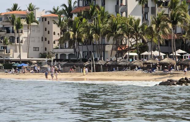 Εικόνα 1 από Mazatlan: θαλάσσια λιοντάρια και κολύμπι με αναπνευστήρα δραστηριότητα σε Μαζατλάν, ανέβηκε από πάροχο