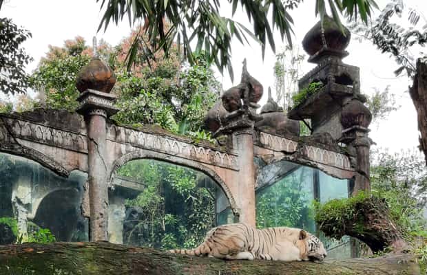 image n.1 of Jakarta : Taman Safari, Panda Palace, and Waterfall activity in Bogor, uploaded by supplier