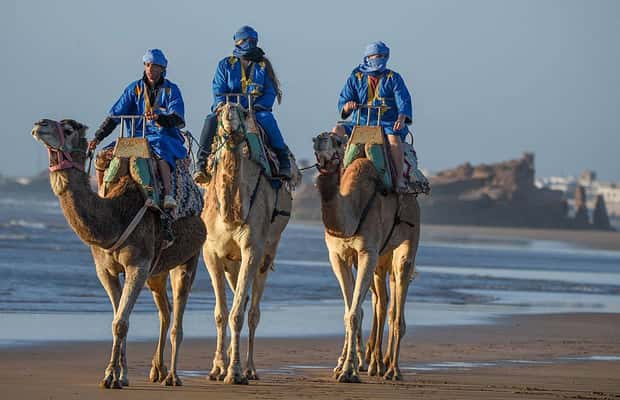 foto no. 1 dari aktivitas Essaouira: Menunggang Unta Selama 2 Jam di Kota Essaouira, diunggah oleh pemasok