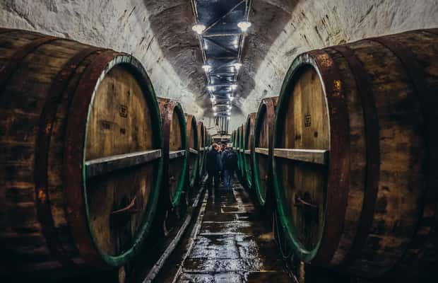 Immagine nº 1 di Tour privato alla Pilsner Urquell da Praga attività a Plzeň, caricata dal fornitore