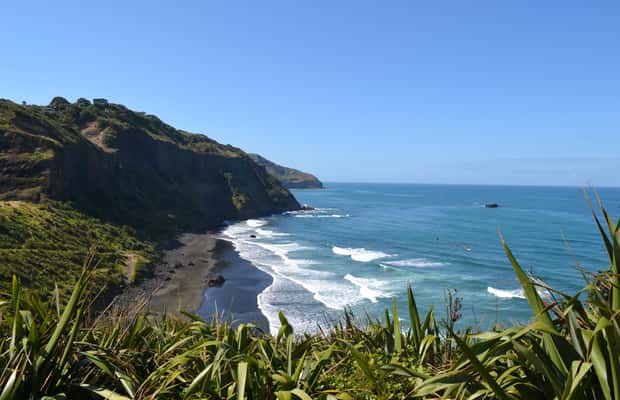 billede nr.1 af aktiviteten West Coast Discovery Piha Beach privat tur i Piha, uploadet af udbyder