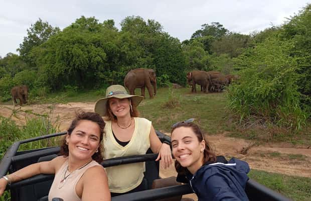 image n.1 of From Dambulla/Sigiriya/: Minneriya National Park 4hr safari activity in Anuradhapura, uploaded by supplier