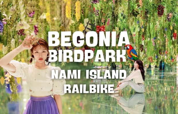 imagen n.º 1 de Seúl: Excursión de un día a la Isla de Nami y al Parque de las Aves de Begonia y Railbike actividad en Provincia de Gyeonggi, subida por el proveedor