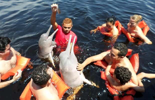 imagen n.º 1 de Safari Amazonas® Manaus: Excursión de un día por el río Amazonas actividad en Manaos, subida por el proveedor