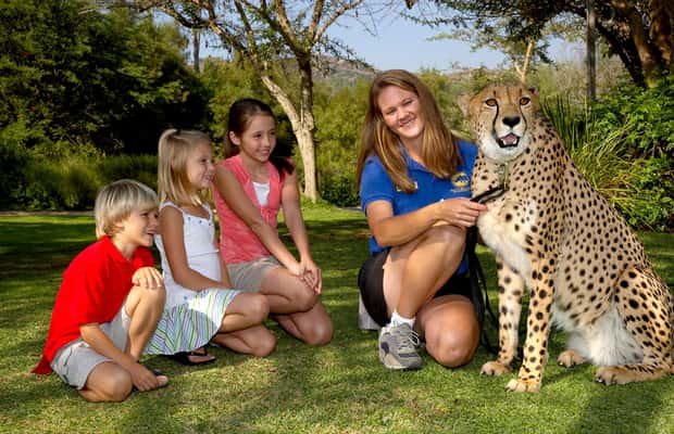slika br. 1 iz kolekcije Dnevna ulaznica za zoološki vrt i safari park u San Diegu aktivnosti u mjestu San Diego, prenio opskrbni partner