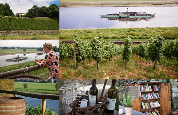 image n.1 of Dresden Bike Tour with Wine Tasting activity in Dresden, uploaded by supplier