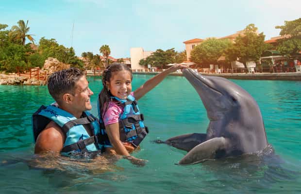 afbeelding n.1 van Puerto Aventuras: zwemmen met dolfijnen, zeeleeuwen, zeekoeien en lunch activiteit in Puerto Aventuras, geüpload door aanbieder