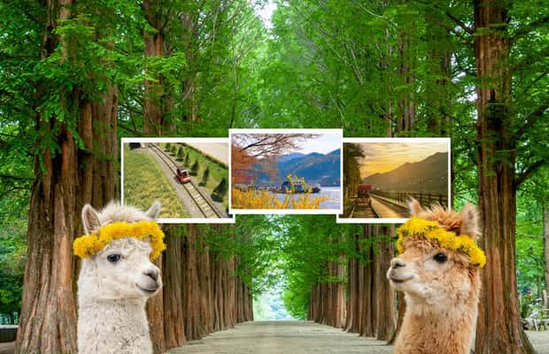 imagen n.º 1 de Seúl: El Mundo de la Alpaca y la Isla de Nami (+Gangchon Railbike) actividad en Provincia de Gyeonggi, subida por el proveedor