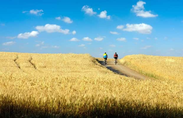 Immagine nº 1 di Da Siena: tour in bici elettrica nel Chianti attività a Siena, caricata dal fornitore