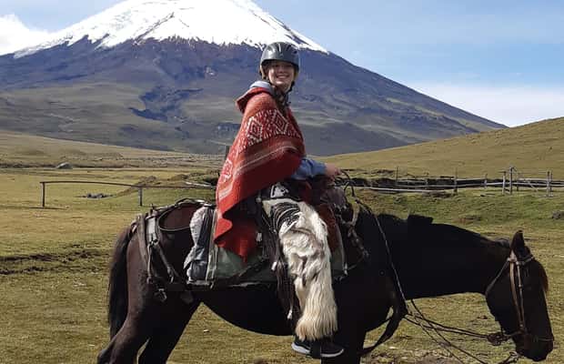 Immagine nº 1 di Vulcano Cotopaxi: escursione a cavallo di un'intera giornata per principianti attività a Cantone di Latacunga, caricata dal fornitore