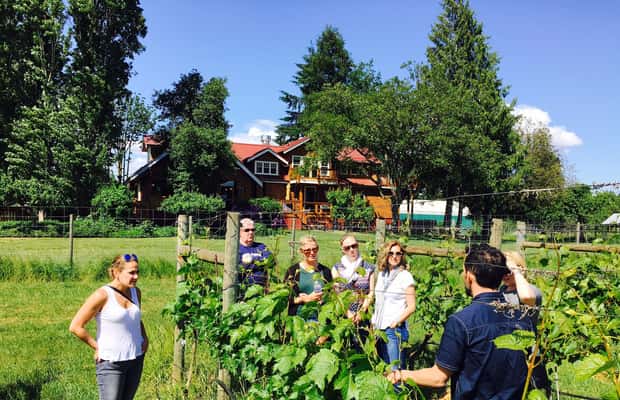 image n.1 of 6-Hour Victoria to Cowichan Wine Tour activity in Victoria, British Columbia, uploaded by supplier