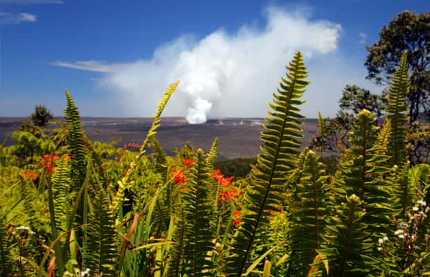 Immagine nº 1 di Da Oahu: Avventura sul vulcano dell'Isola Grande attività a Hawaii, caricata dal fornitore