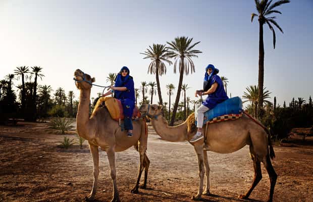 imagen n.º 1 de Marrakech: Medio día de paseo en camello por el Palmeral actividad en Marrakech, subida por el proveedor