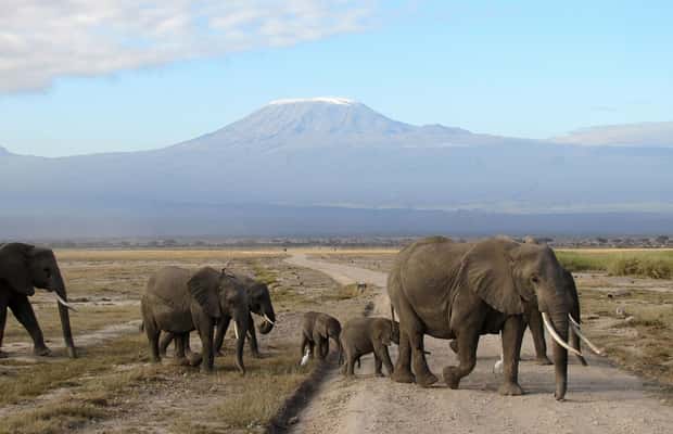 imagen n.º 1 de Amboseli: Safari de tres días actividad en Provincial Central de Kenia, subida por el proveedor