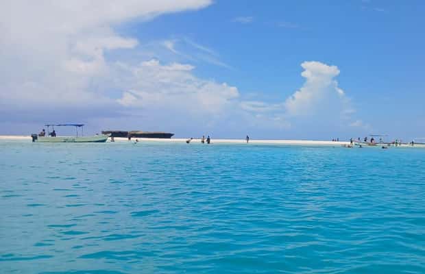 image n.1 of Mombasa: Wasini Dolphin Tour activity in Central Kenya, uploaded by supplier