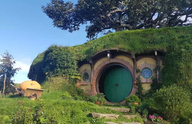Image N°1 de Au départ d'Auckland : Circuit Hobbiton et Rotorua avec déjeuner à Te Puia activité à Rotorua, publiée par le prestataire