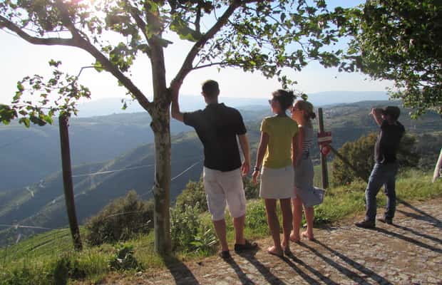 Bild Nr. 1 von Porto: 3 Douro Valley Vineyards Tour mit Mittagessen Aktivität in Região Norte, hochgeladen vom Anbieter
