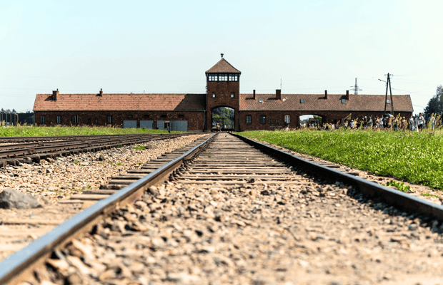 Image N°1 de Cracovie : visite guidée ou visite autonome d'Auschwitz-Birkenau activité à Oswiecim, publiée par le prestataire