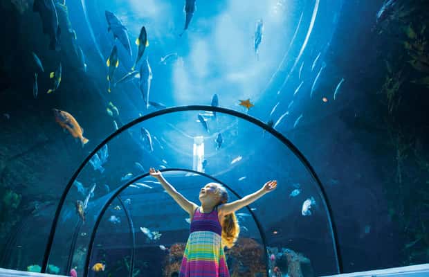 תמונה מס' ⁦1⁩ מתוך ⁦קוויבק: כרטיס כניסה לאקווריום דו קוויבק⁩, פעילות ב⁦קוויבק סיטי⁩, הועלתה על-ידי הספק