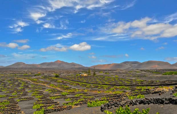 Bild Nr. 1 von Lanzarote: Vulkane von Timanfaya und Höhlen Tour mit Mittagessen Aktivität in Haría, hochgeladen vom Anbieter