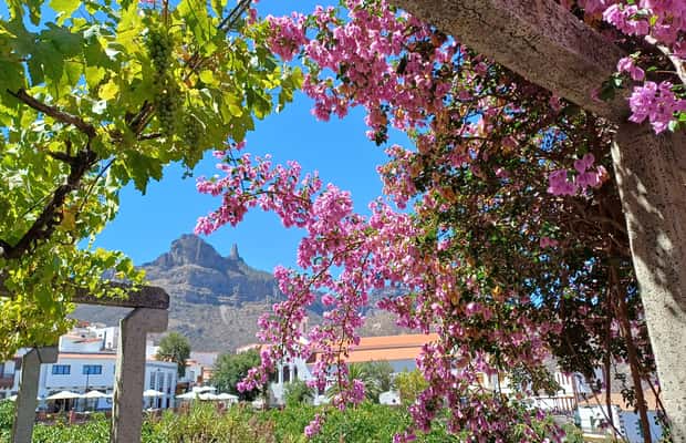 image n.1 of Gran Canaria: Highlights & hidden gems by 2 local guides activity in Vega de San Mateo, uploaded by supplier
