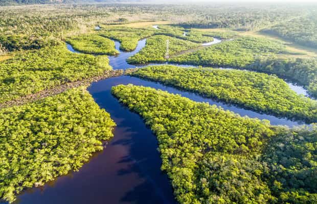 image n.1 of Manaus: Amazonas Jungle and Anavilhanas Archipelago Trek activity in North Region, Brazil, uploaded by supplier