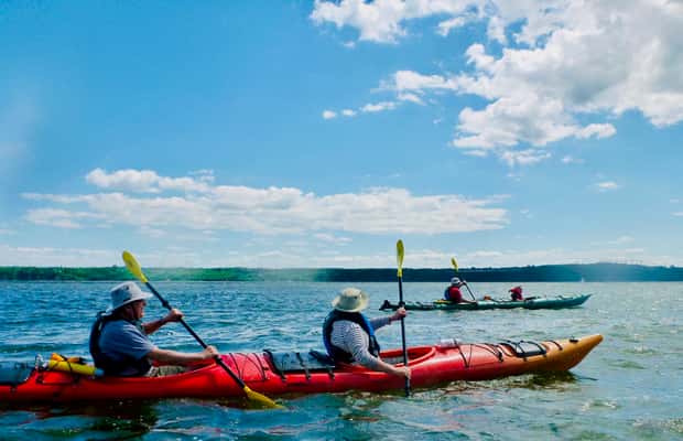 Image N°1 de Québec : Excursion en kayak de mer à l'île d'Orléans activité à Province de Québec, publiée par le prestataire