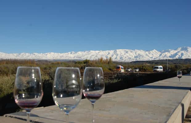 imagem n.1 de Valle de Uco: Excursão particular de 1 dia ao vinho com almoço de 3 pratos atividade em Província de Mendoza, carregada pelo fornecedor