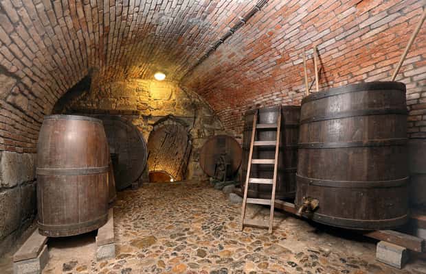 Immagine nº 1 di Pilsen: Ingresso al Museo della Birra con un bicchiere di birra attività a Plzeň, caricata dal fornitore