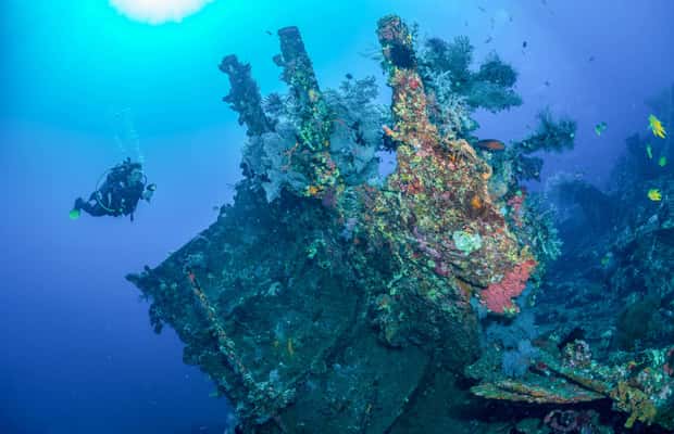 bilde nr.1 av Bali: Tulamben Bay og USAT Liberty Wreck Dive aktivitet i Karangasem Regency, lastet opp av leverandør