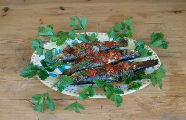 image n.1 of Viareggio: Cooking Class at a Local's Home activity in Viareggio, uploaded by supplier