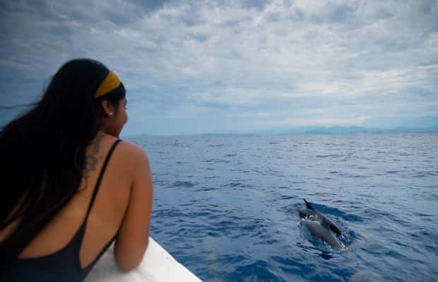 imaginea n.1 a activității Huatulco: Trezirea cu stele Croazieră cu delfinii în Huatulco, încărcată de organizator