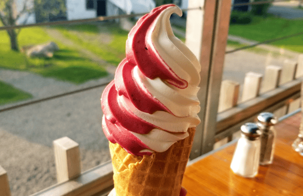 Image N°1 de Québec : Le sentier des saveurs de l'île d'Orléans activité à Ville de Québec, publiée par le prestataire