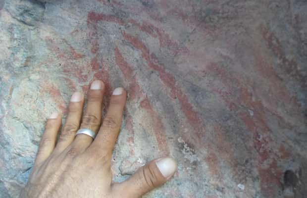 image n.1 of From Loreto: Canipole Cave Painting Guided Hike activity in Loreto, Mexico, uploaded by supplier