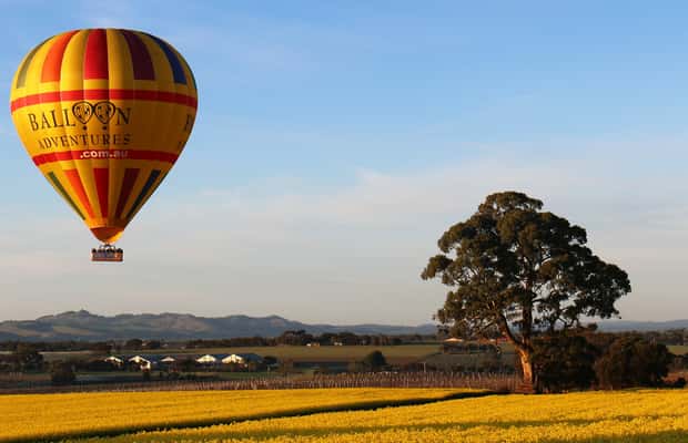 imagen n.º 1 de Valle de Barossa: Vuelo en globo aerostático actividad en Lobethal, subida por el proveedor