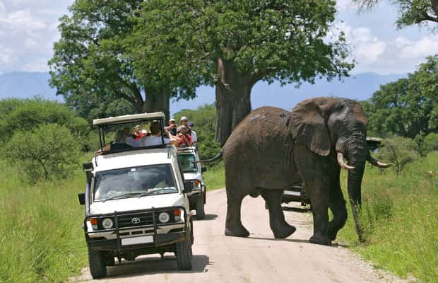 image n.1 of From Nairobi: 2-Day Amboseli National Park Safari activity in Central Kenya, uploaded by supplier
