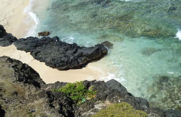 bild nr.1 av Mauritius: Vaniljpark och vilda stränder Tour aktivitet i Riviere des Anguilles, uppladdad av arrangören